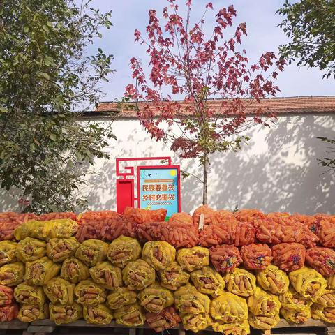 金年丰收节 百姓心情畅