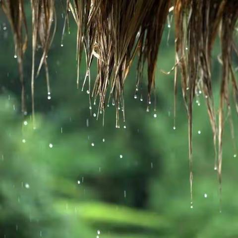 半山听雨