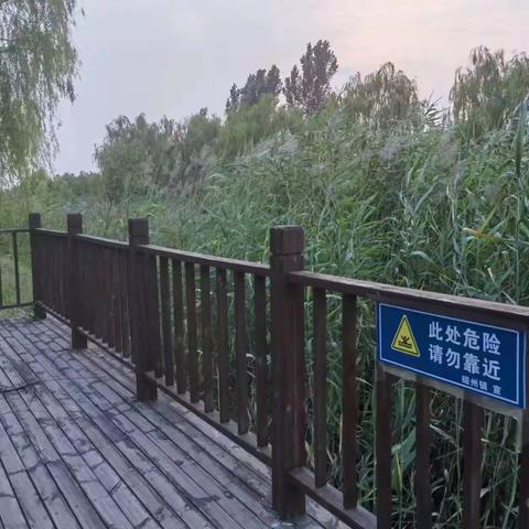 关爱学生 幸福成长—光禄镇第一中学暑假安全提示