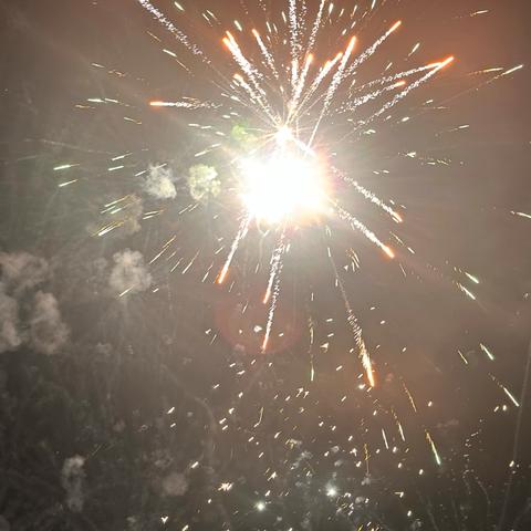 西安恒大翡翠华庭物业服务中心 ‍2025年2月服务报告