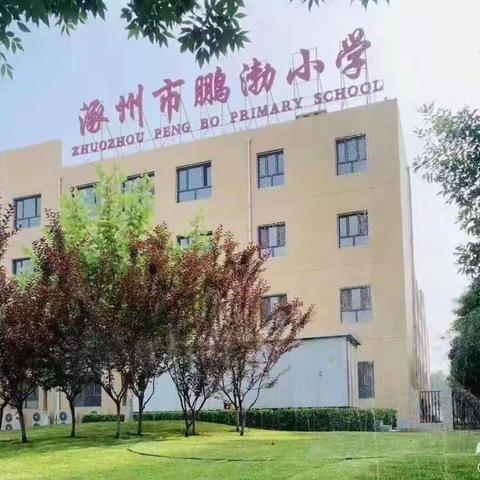 涿州市鹏渤小学暑假温馨提示