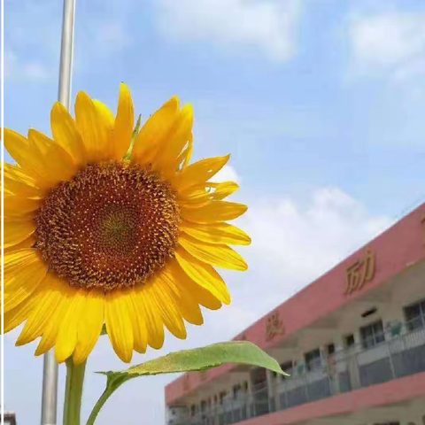 温暖携手，共育英才——一实小教育集团前集校区家长会