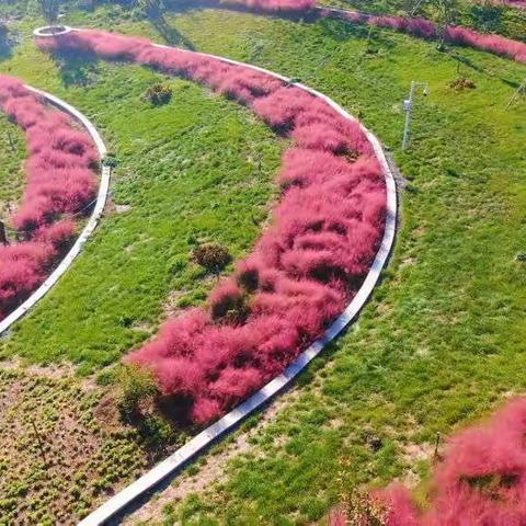 千城胜景｜河北正定：湿地公园风景如画