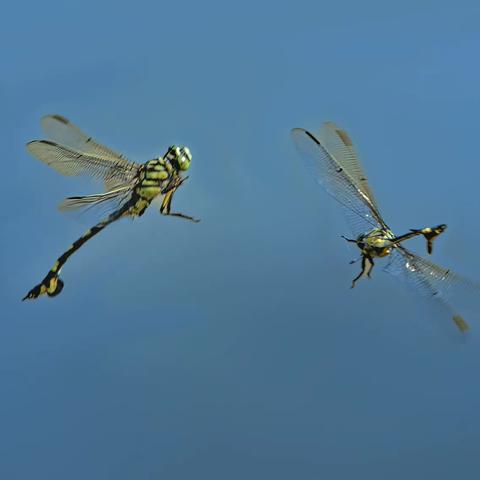 古稀之年喜登讲台（3）