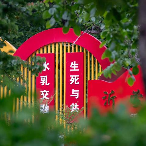 心潮澎湃忆峥嵘——沂蒙老区行之三