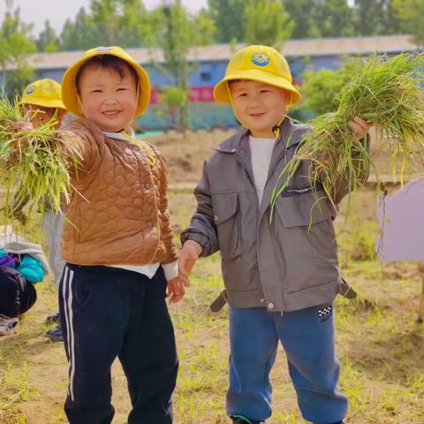 卢营小学附属幼儿园——“快乐迎五一  劳动润童心”主题教育活动