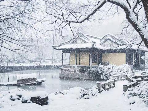 纷纷且看漫天雪，撒盐扯絮凭人说丨邯郸诗词女工委“梅雪”同题