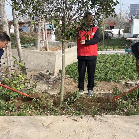 党建引领   共植绿色希望