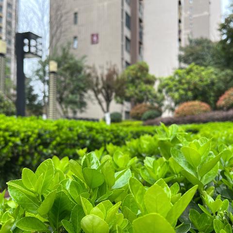 和昌都汇华郡2025年全年服务报告