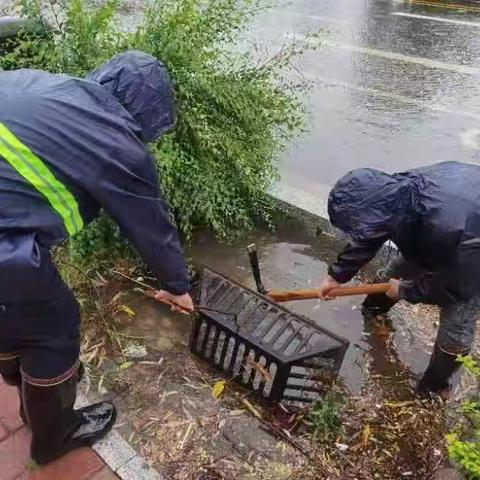 平凡岗位不凡担当——开发区龙岗街道天赉社区干部冯学奎