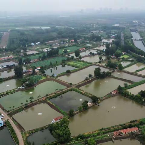 2024年槐荫区水产工作汇报