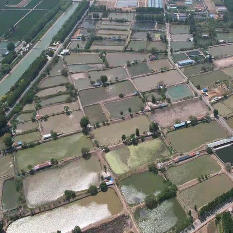 2025年槐荫区水产工作汇报
