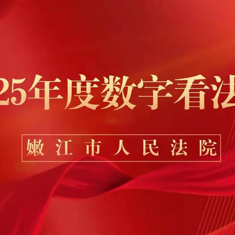 2025年度数字看法院