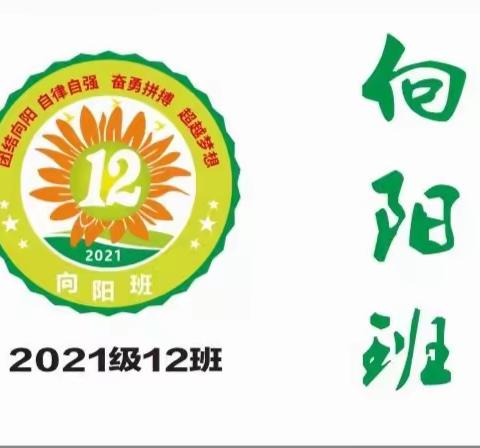 循道而行  追光而往  —— 八年级12班2022-2023学年度第二学期班级工作总结