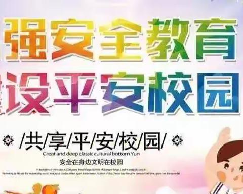 珍爱生命，防患于未然——台头镇二堡小学安全教育