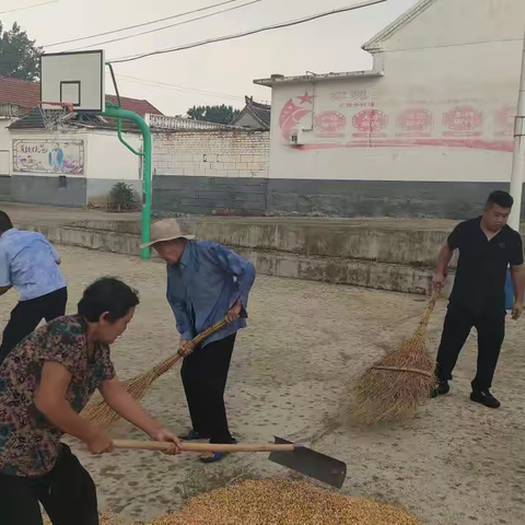 “雨口夺粮，情暖人心”——杨庄镇刘家店村党组织书记李伟