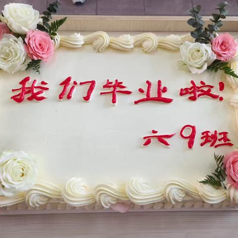 2024年7月3日，濮阳市子路小学六九班，王梓铮