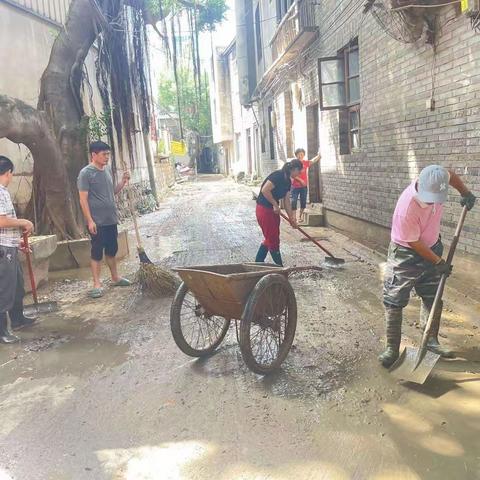 风雨过后，洁净家园——城门镇持续开展台风灾后消杀清洁工作