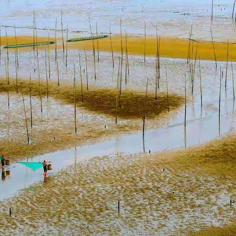 2023年5月18日—22日（五天四晚）霞浦滩涂、海带收获季节 摄影采风活动招募