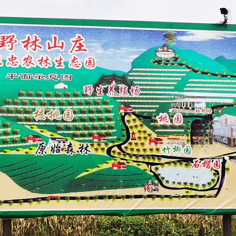 写意太行，尽享石家庄太行鸡区域公用品牌之美
