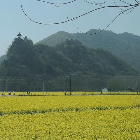 泾县诗词学会“学雷锋庆三八节”专刊