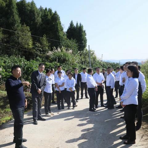 蓬安农商银行开展加大信贷投放力度实战经验交流现场拉练活动