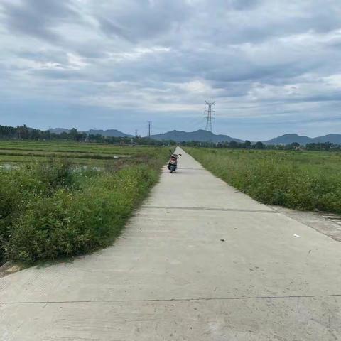 坡心镇：坚持问题导向 强化高标准农田建后管护 助力粮食生产高质量发展