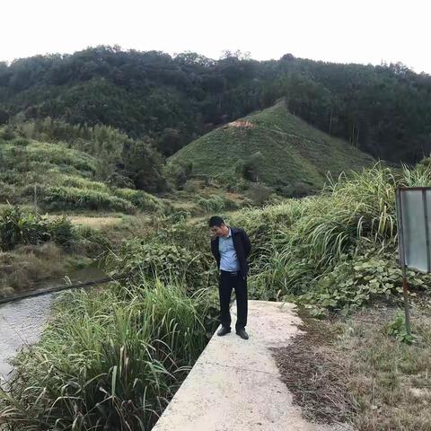 温郊乡：百姓河长常态化巡河 筑牢碧水生态防线