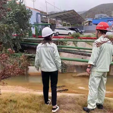 温郊乡：“企业河长” 履职巡河 政企联动守护碧水清流