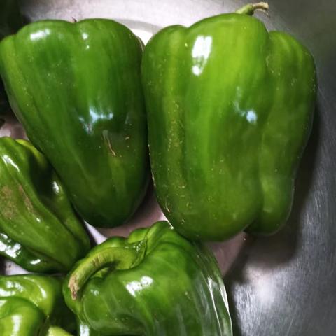 太子河边喜丰收