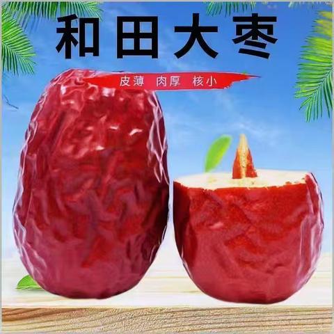 前缀/词根/后缀