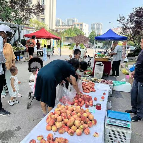 家门口赶大集！历山吉第社区开展便民助农大集活动，感受浓浓烟火气