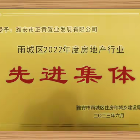 正黄集团旗下雅安市正黄置业发展有限公司获评先进集体奖