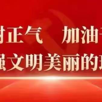 岳城镇开展1月份主题党日活动