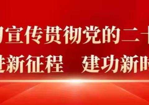 岳城镇开展2月份主题党日活动