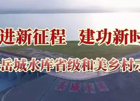 只争朝夕,全力以赴---岳城镇工作周报（3月20日-3月26日）