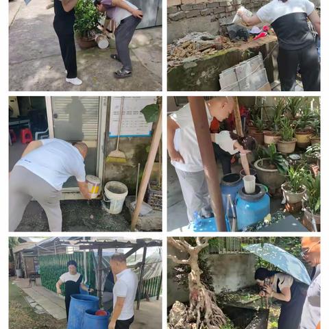 城门镇开展登革热防控督导检查工作（二）