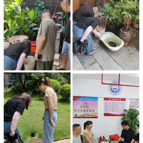 城门镇开展登革热防控督导检查工作（三）