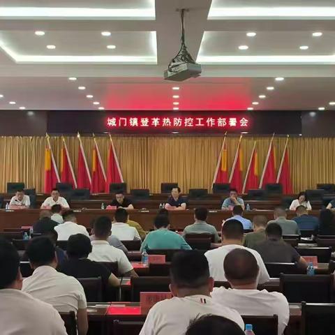 城门镇开展登革热防控工作专项行动