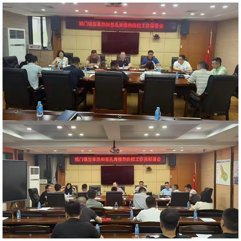 城门镇开展登革热和基孔肯雅热防控工作专项部署