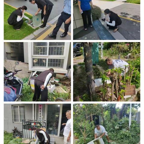 城门镇开展登革热、基孔肯雅热防控督导检查工作