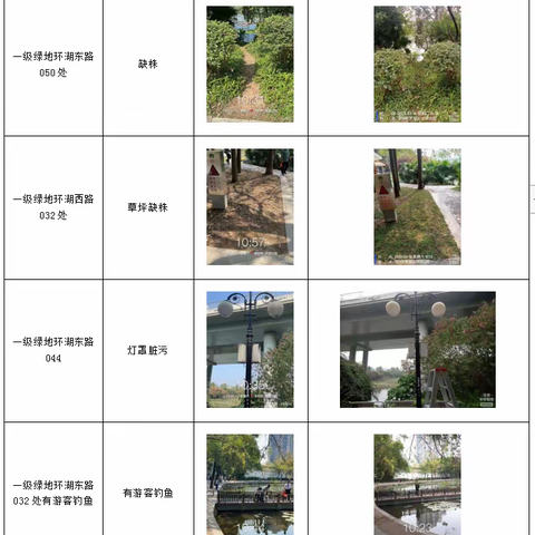 【随机检】洪湖公园3月11日随机检工作汇报