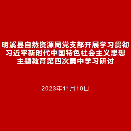 明溪县自然资源局党支部开展主题教育第四次集中学习研讨
