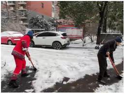 大雪无情人有情 龙阳新村在漫天飞雪中接力