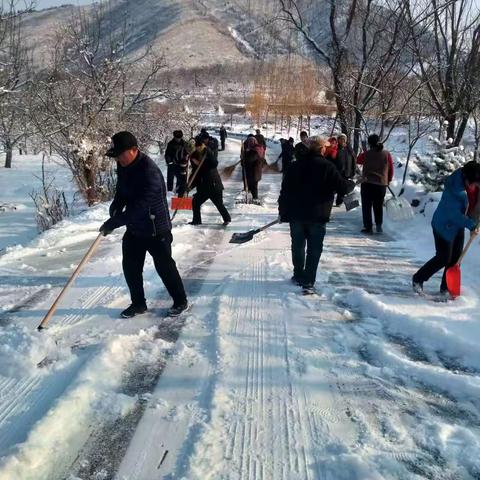 扫雪除冰共行动，齐心护航保平安！--娘娘庄镇扫雪除冰行动纪实