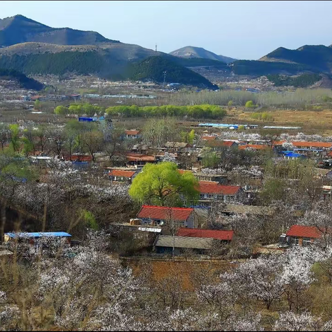 上下齐心，众志成城，一起奋战，感恩有你——卧龙山聚集祈福活动安全防范工作圆满成功