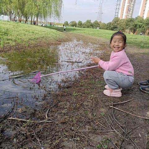 你好，小蝌蚪