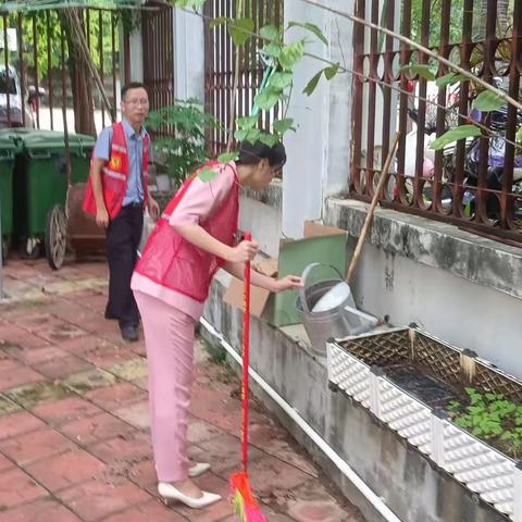 吉阳区委宣传部突出重点 多措并举做好登革热防控工作