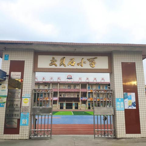 江门市新会区崖门镇交贝石小学的文章