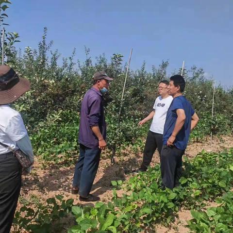 韩城市农业农村局7月18日工作动态